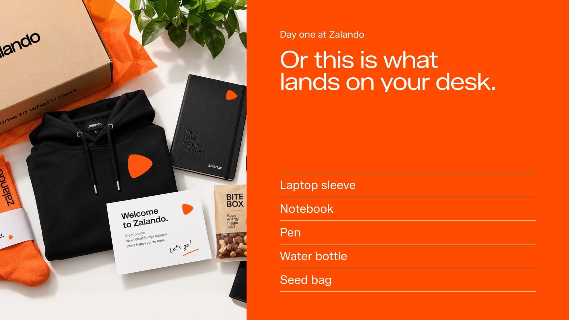 How Zalando runs merch at scale: inside the House of Merch
