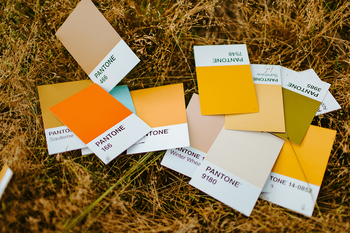 Pantone Colors: What are they?