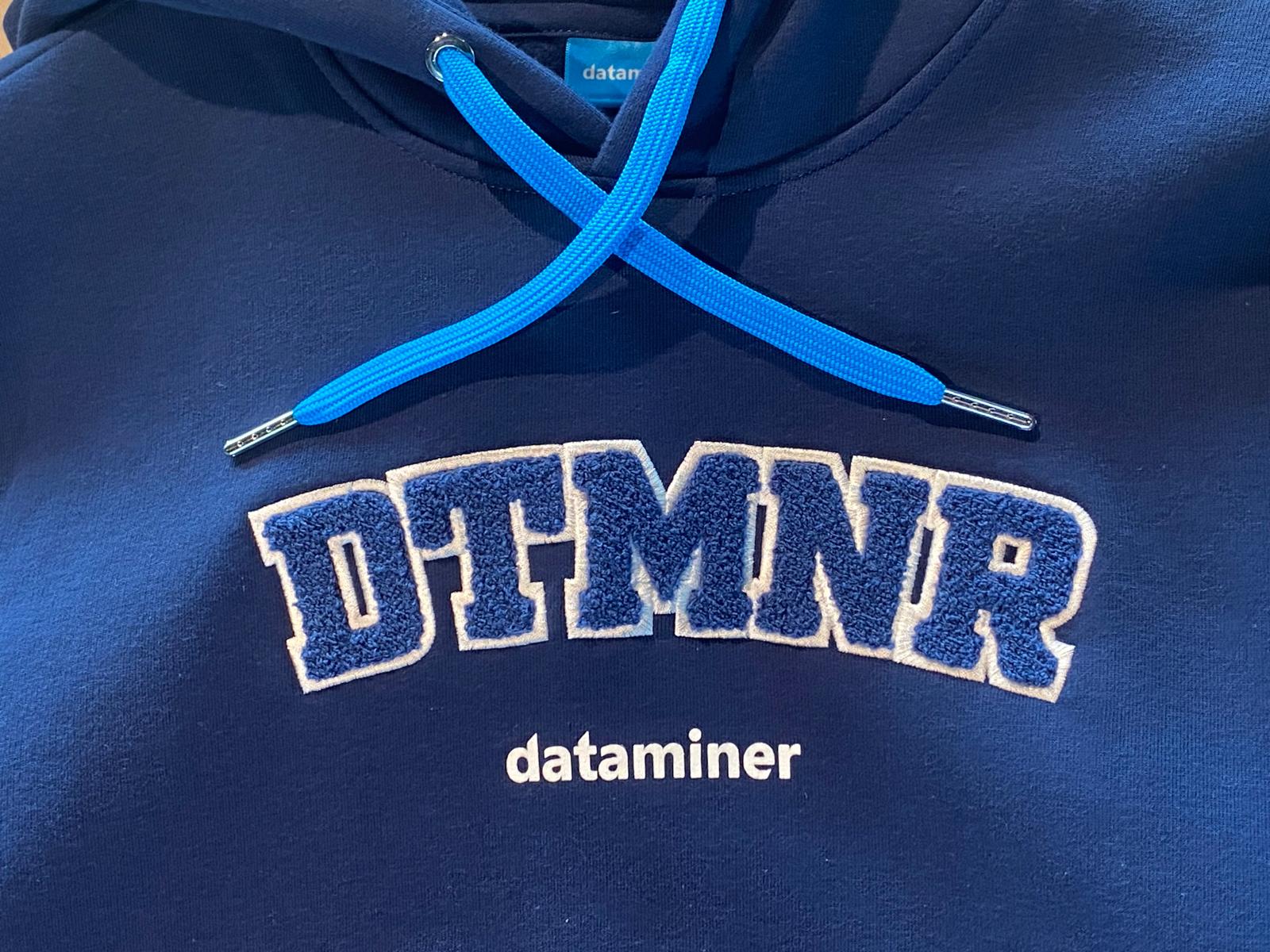 Close-up of Dataminer hoodie featuring bold chenille embroidered logo and bright blue contrast drawstrings