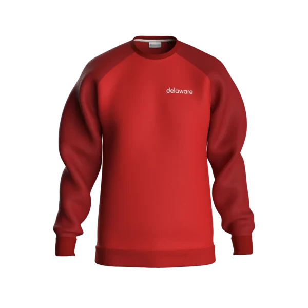 Timeless Raglan Sweater - Image 3