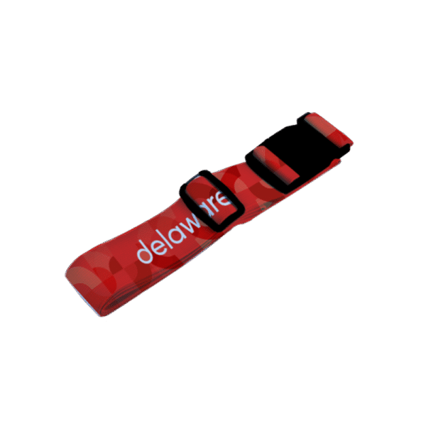 Luggage Belt