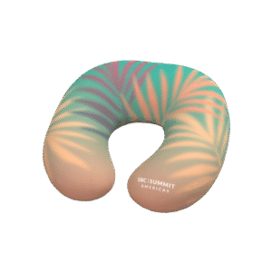 Neck Pillow