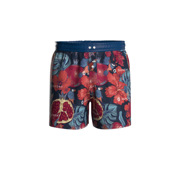 Boxer Shorts - Image 3
