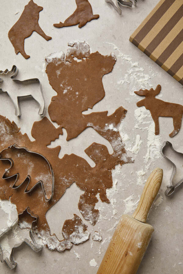Nordic Big 5 Cookie Cutter Set - Image 2